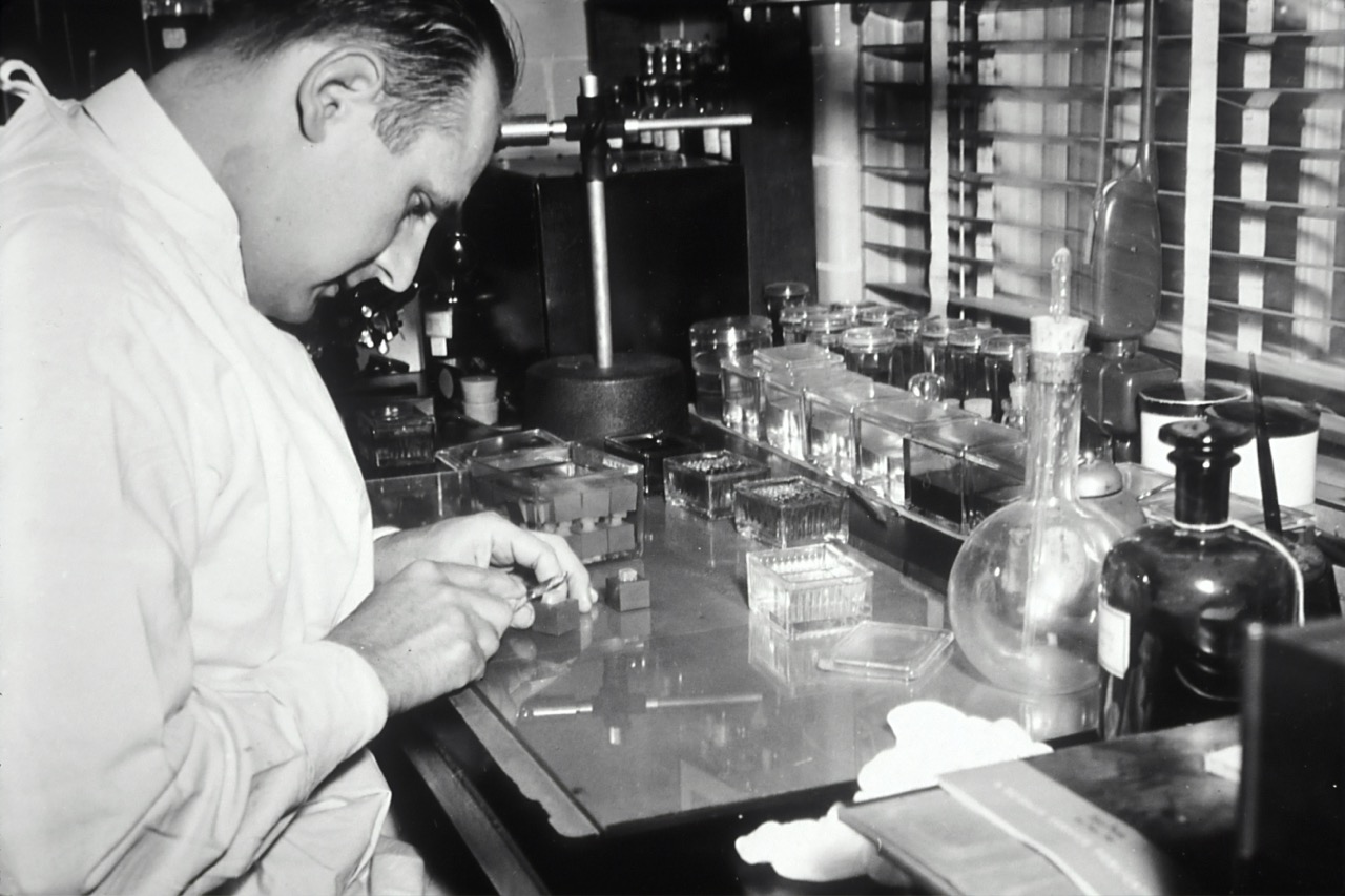 Why Consistent Testing Is Key to Long-Term Health