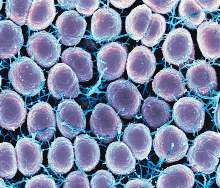 HPV and Oral Cancer: Understanding the Risks