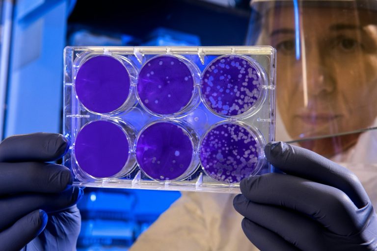 The Role of STD Testing in Public Awareness Campaigns